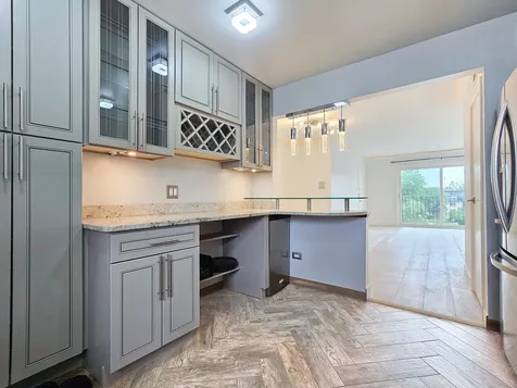 9442 Bay Colony Drive Des Plaines IL 60016