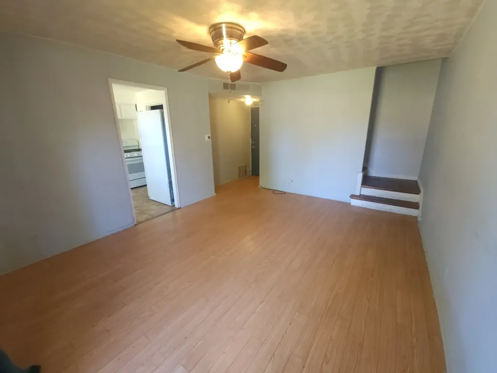257 West Swann Street Chicago IL 60609