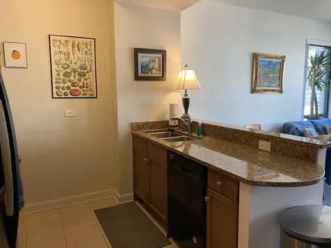 130 North Garland Court Chicago IL 60603