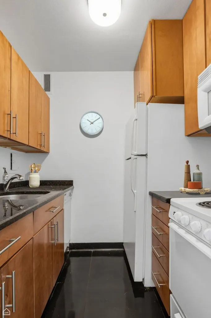 900 North Lake Shore Drive Chicago IL 60611