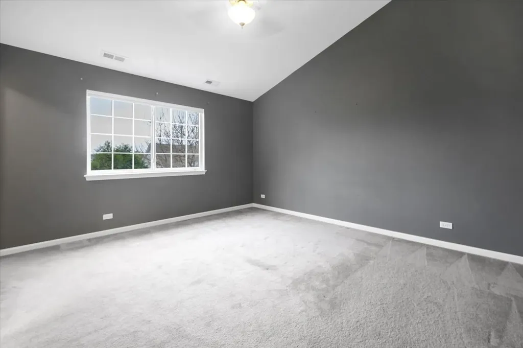 7 Appletree Court Lake In The Hills IL 60156