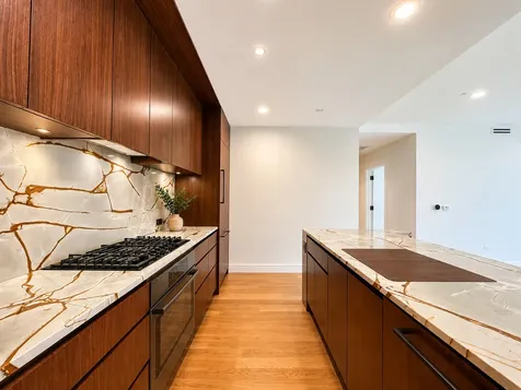 415 East North Water Street Chicago IL 60611