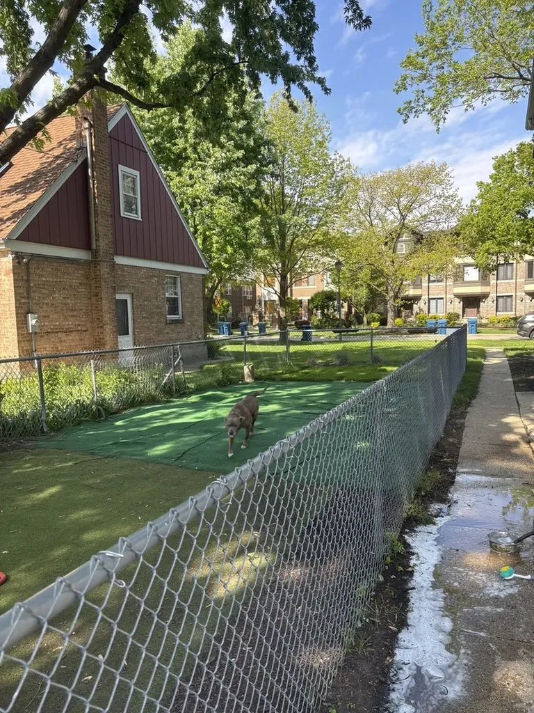 115 Myrtle Avenue Elmhurst IL 60126