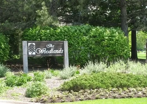 324 Satinwood Court N Buffalo Grove IL 60089