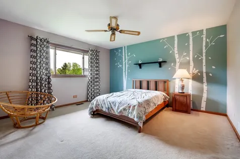 1281 Tracie Drive Lake Zurich IL 60047