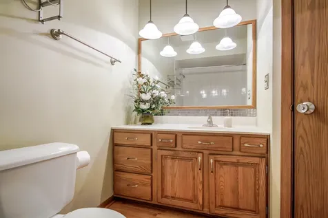 1281 Tracie Drive Lake Zurich IL 60047