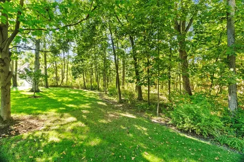 3540 Haweswood Court Crete IL 60417