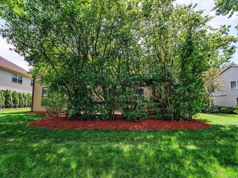 312 West Brampton Lane Arlington Heights IL 60004