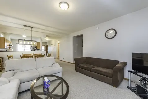 109 Hunter Court Grayslake IL 60030