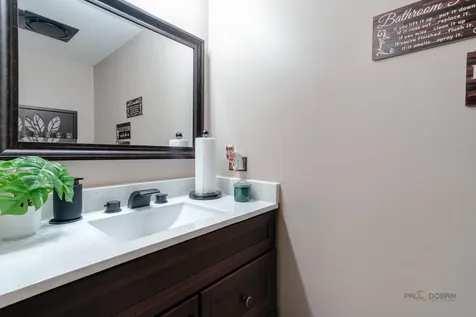1315 Lily Court Grayslake IL 60030