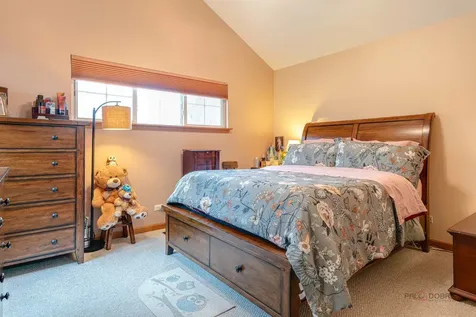 1315 Lily Court Grayslake IL 60030