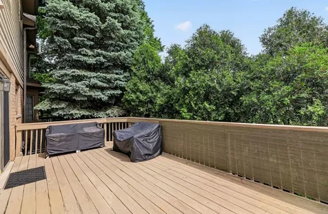 5131 Creek Drive Western Springs IL 60558