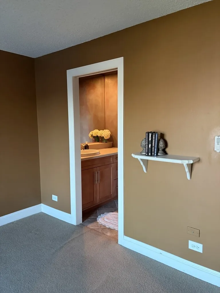 15817 Orlan Brook Drive Orland Park IL 60462
