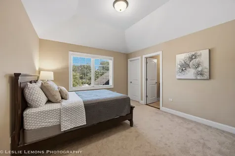 1411 Hatchwood Court Naperville IL 60565