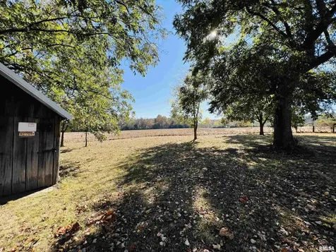 17064 Old Frankfort Road Johnston City IL 62951