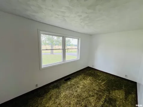 17064 Old Frankfort Road Johnston City IL 62951