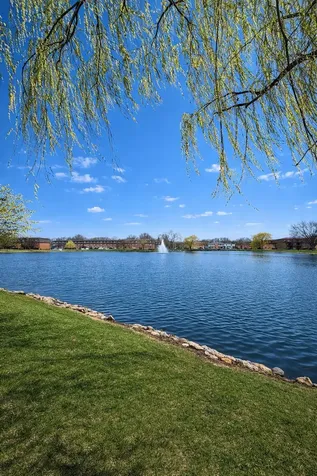 9481 Bay Colony Drive Des Plaines IL 60016