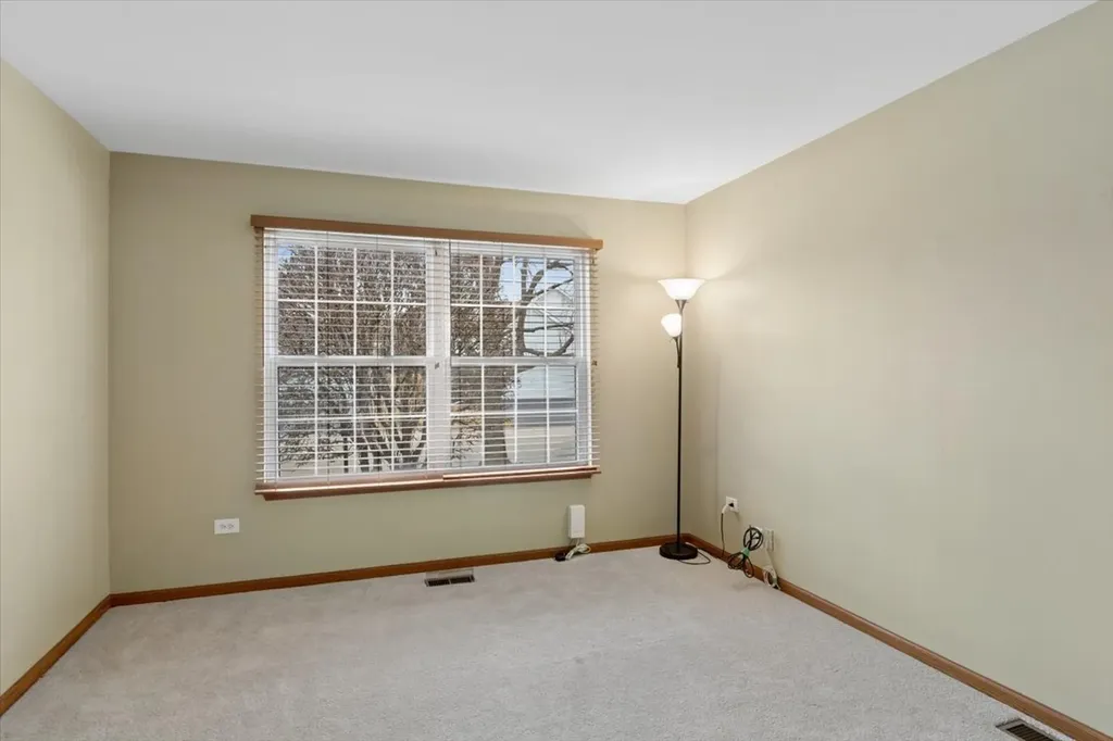 21429 West Sycamore Court Plainfield IL 60544