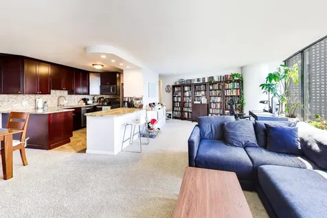 505 North Lake Shore Drive Chicago IL 60611