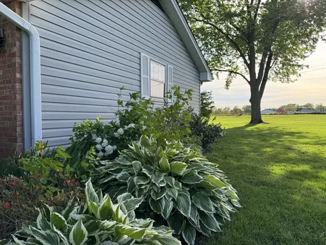 1496 West Lotus Lane Kankakee IL 60901