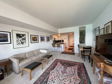 175 East Delaware Place Chicago IL 60611