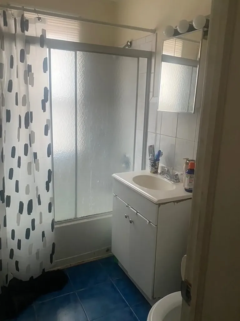 8728 South Carpenter Street Chicago IL 60620