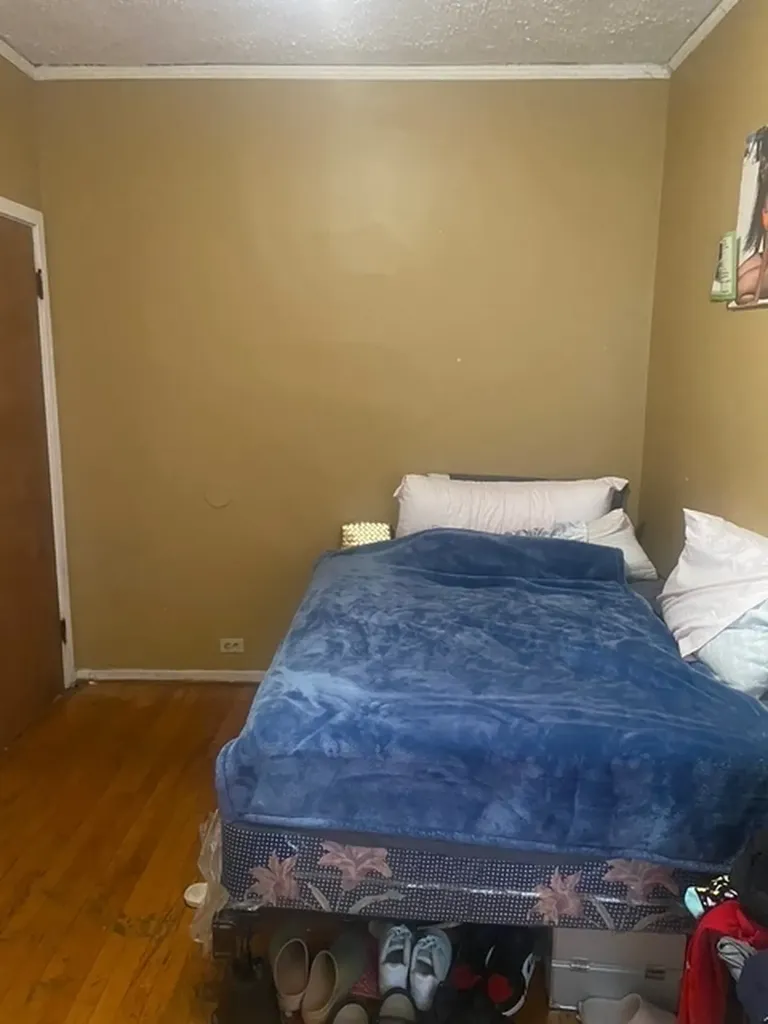 8728 South Carpenter Street Chicago IL 60620