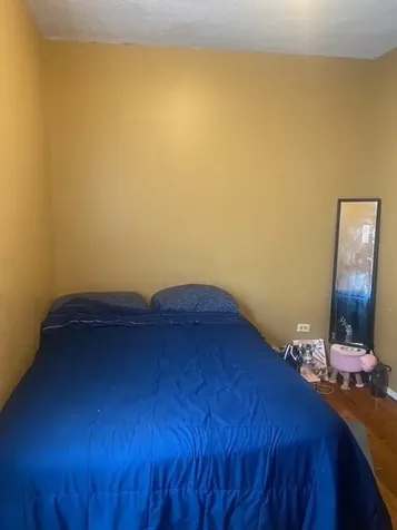 8728 South Carpenter Street Chicago IL 60620