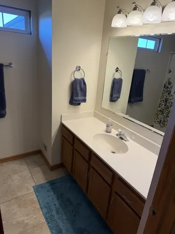 18251 Kirby Drive Tinley Park IL 60487