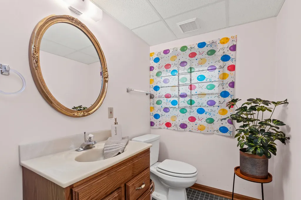 8115 Pluskota Drive Orland Park IL 60462
