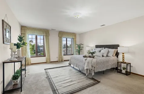8115 Pluskota Drive Orland Park IL 60462