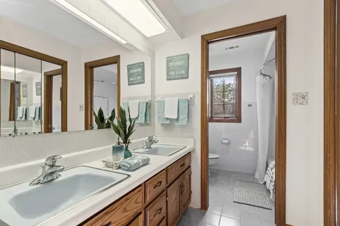 8115 Pluskota Drive Orland Park IL 60462