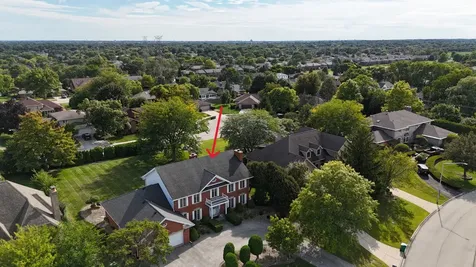 8115 Pluskota Drive Orland Park IL 60462