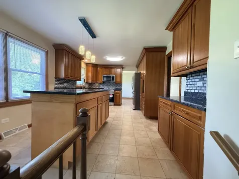 1613 Tina Lane Flossmoor IL 60422
