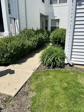 648 Springwood Drive Joliet IL 60431