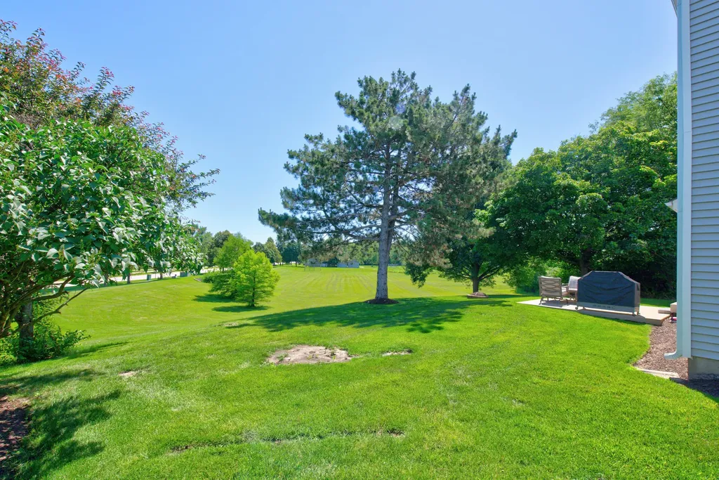12 Foxglove Court Bolingbrook IL 60440
