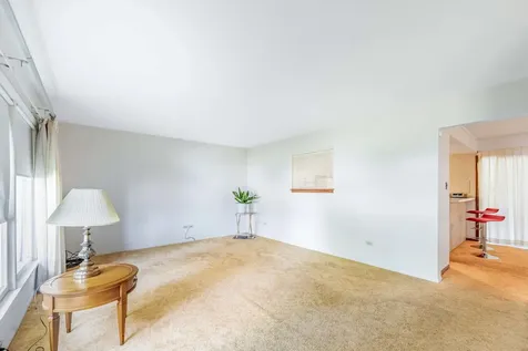 1161 East 171st Court South Holland IL 60473