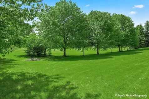 1717 Spruce Street Spring Grove IL 60081