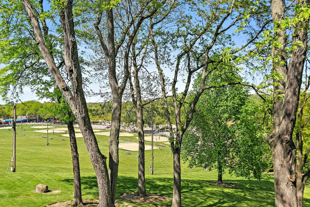 5803 Oakwood Drive Lisle IL 60532