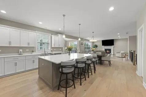 20963 Benjamin Drive Shorewood IL 60404