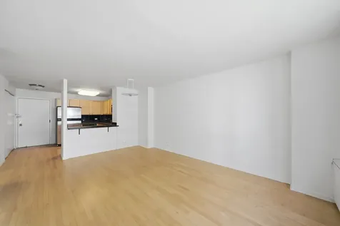 222 East Pearson Street Chicago IL 60611