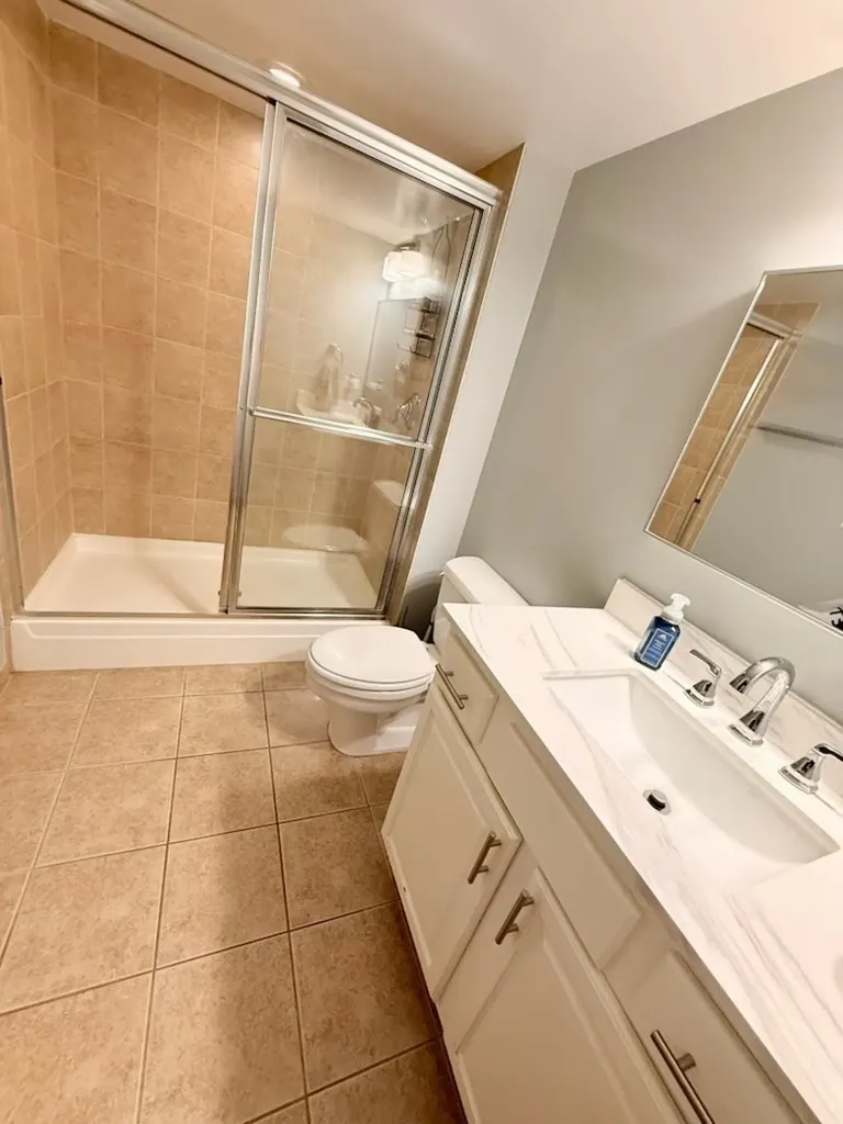 1069 West 14th Place Chicago IL 60608