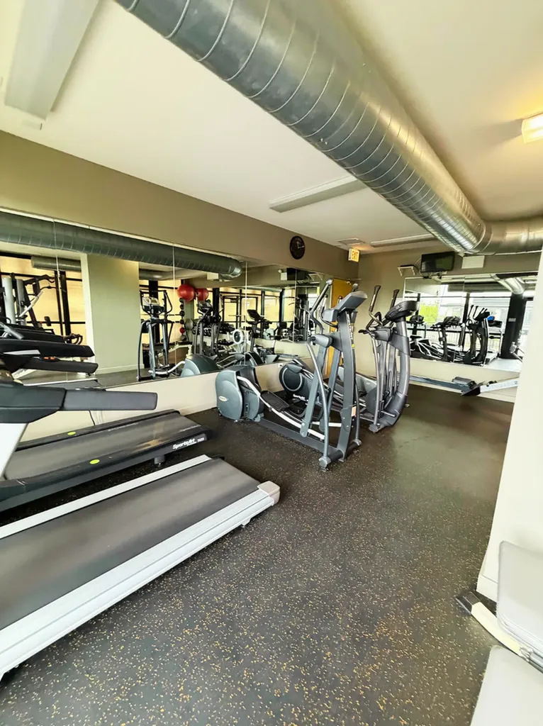 1069 West 14th Place Chicago IL 60608