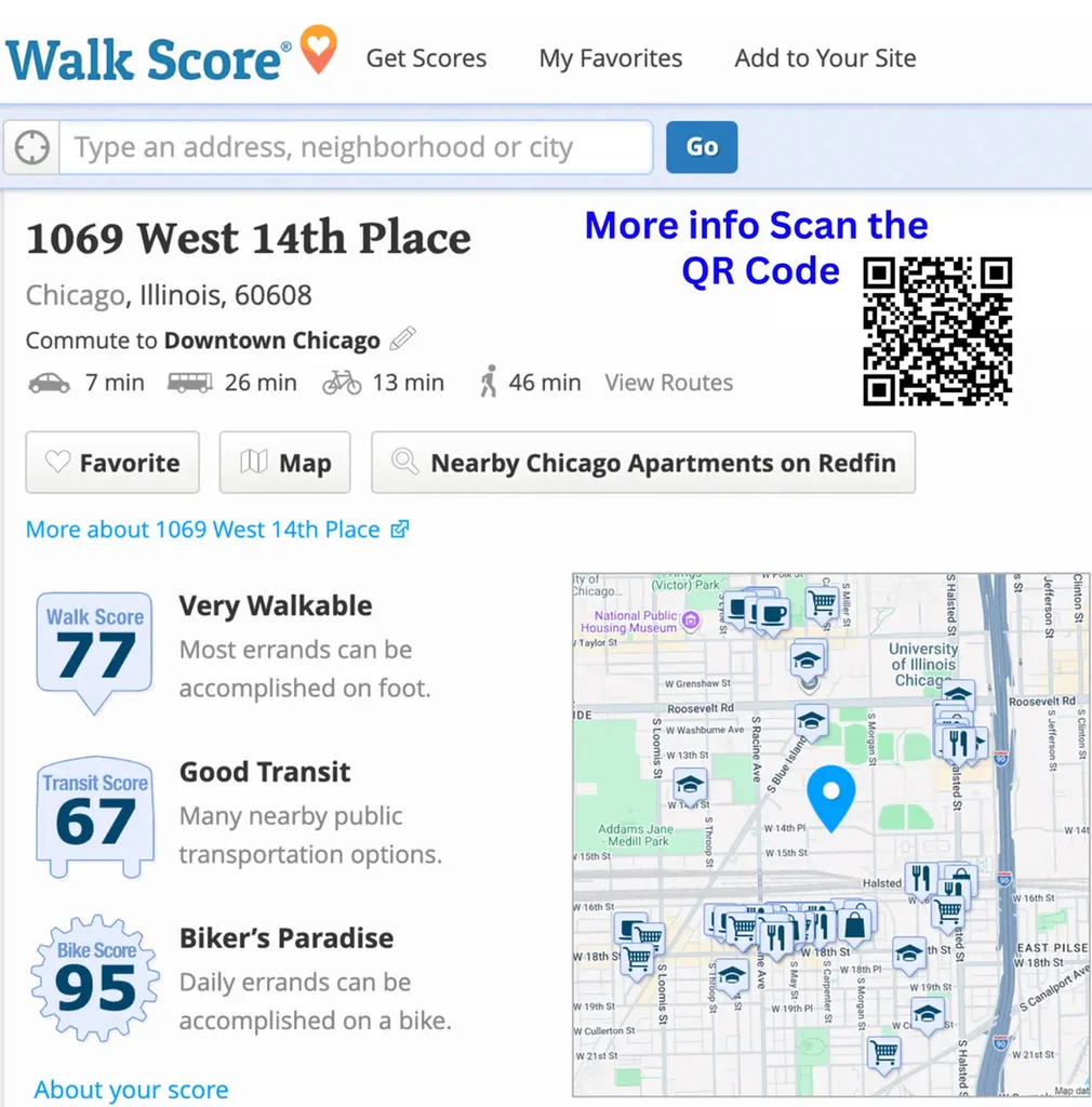 1069 West 14th Place Chicago IL 60608