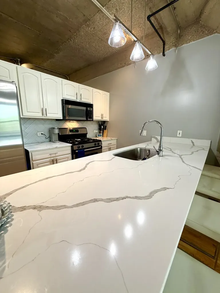 1069 West 14th Place Chicago IL 60608