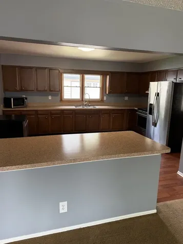 297 Jan Drive Manteno IL 60950