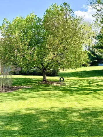 643 Lindgren Lane Belvidere IL 61008
