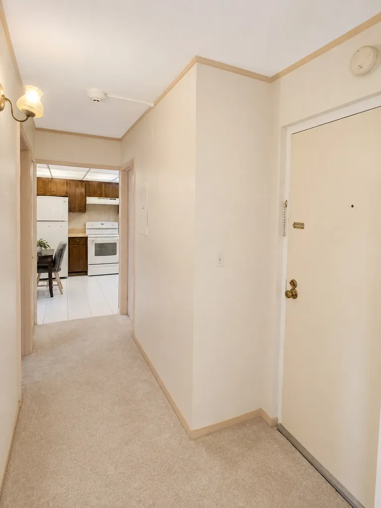 314 Klein Creek Court Carol Stream IL 60188