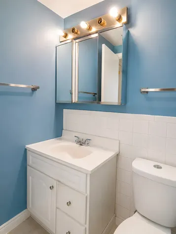 314 Klein Creek Court Carol Stream IL 60188