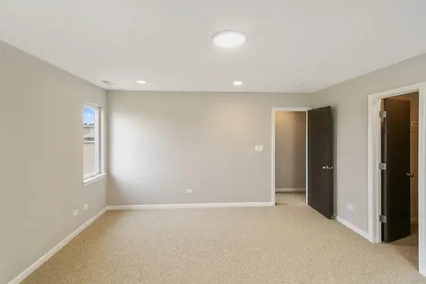 22429 Karlov Avenue Richton Park IL 60471